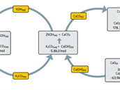 SSCC principles